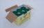 Vacsax Disposal Carton x 10 (I Carton Holds 6)