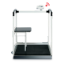 Scale Seca 685 Multifunctional Wireless Digital Iii (300Kg)