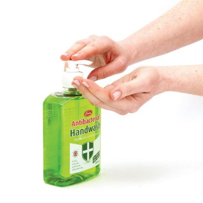 Certex Anti-Bacterial + Tea Tree Handwash Soap 500ml x 1
