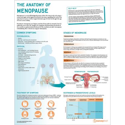 CHART ANATOMICAL MENOPAUSE UNDERSTANDING 50 X 65CM